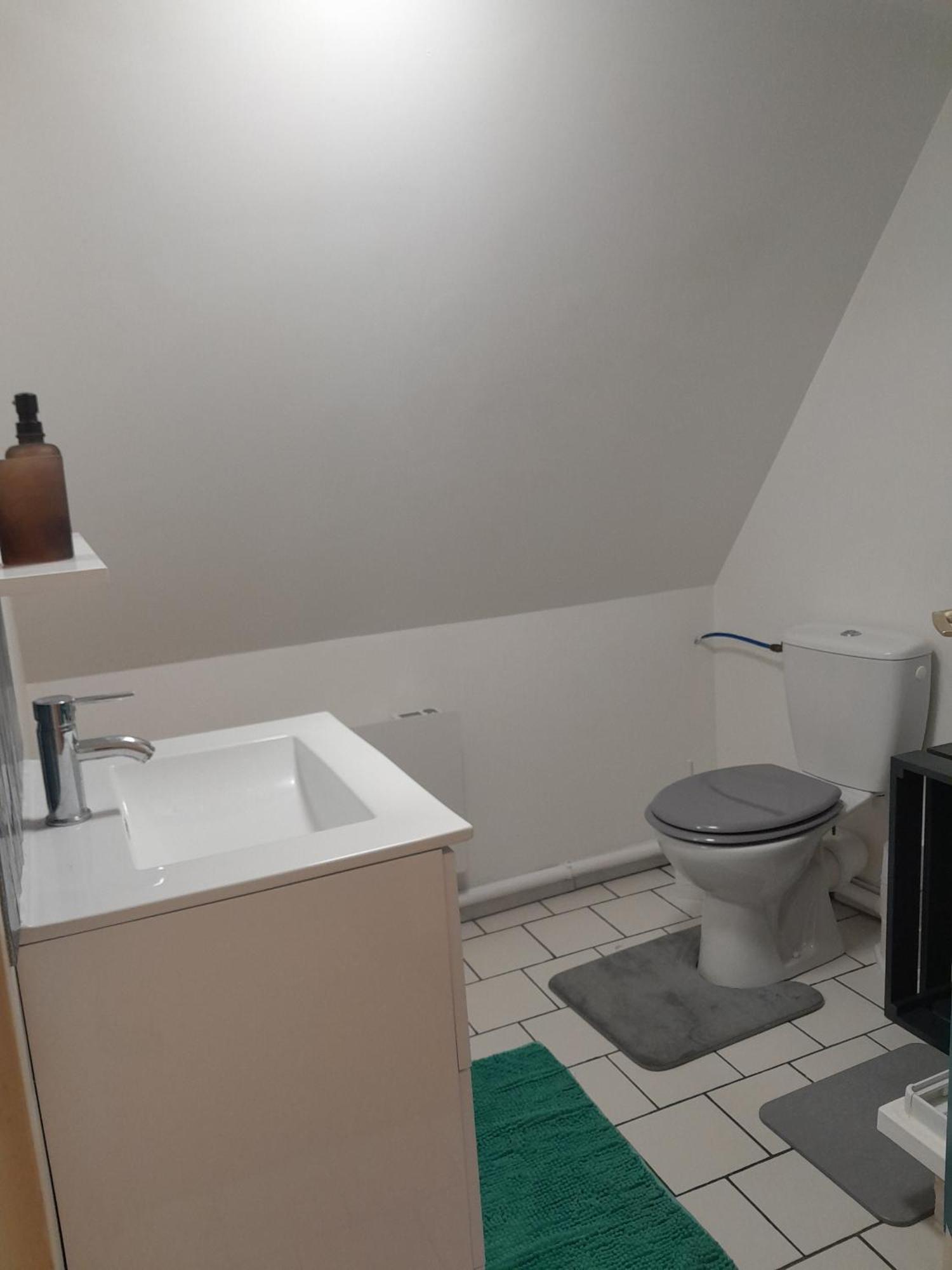 Duplex Charmant Au Coeur De Levroux Exteriör bild